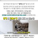 위전4리 이미지