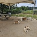 죽빵훈련소 이미지