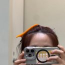 라헨느헤어라인