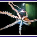 통영갤러리관광호텔 이미지