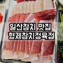 일산참치 맛집 형제참치정육점 포장 후기 저렴한 가격 퀄리티 최고