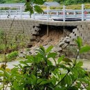 용호1교 이미지