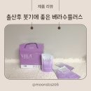 보생 | 출산 후 붓기에 좋은 붓기차 추천 보생 베라수플러스 내돈내산 후기