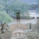 보불로펜션 이미지