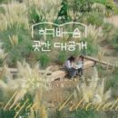 마검포힐링캠핑장
