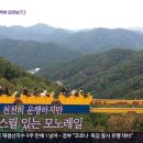 성주로164번길 | 6시내고향 고향을부탁해 오만보기 광주 모노레일 탄 곳, 가지 파는 곳 어디?