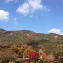 상주순곶감