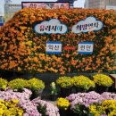 배산체육공원 건너편 이미지