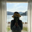 거제도스테이와녹 | [거제도 감성숙소] 아날로그스테이 &#34;녹&#34; 객실 솔직후기(장/단점)