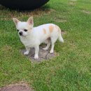 제부포레스트 이미지