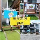 해루 | 안면도펜션 꽃지해수욕장근처 조개체험 대여가능 한곳 해루피아펜션 후기