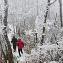 하얀세상 이미지