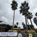 씨유제주이호해변점 | 제주 에귤타르트 이호테우해변점 후기