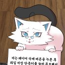 영도씨 티스토리