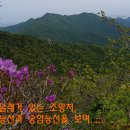 설악산, 백암골~관모능선~관터골산행이야기(2) 이미지