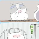 반포대로22길 100 이미지