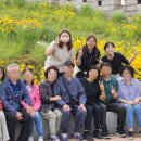 성북구치매안심센터 이미지