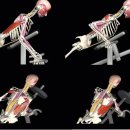 투에이치짐(2H GYM) 이미지