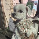 바르개 맛있개 이미지