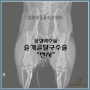 임재성동물의료센터 이미지