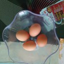 조광 야외 골프존 이미지