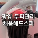 사동로 | 광양두피관리 채움헤드스파 리얼후기 두피측정 스칼프핏 GSMP 만족도 높은 이유