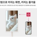 이마트 포항점 이미지