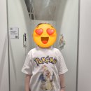 경남낙우회영농조합법인 | 진해군항제 벚꽃 → 남양돼지국밥 → NC개막일 롯데마트 → 동창원식물원 : 3월 29일 하루 일정