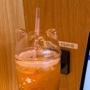 블라썸캣 이미지