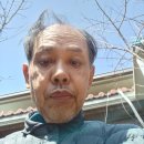 시티이용소 이미지