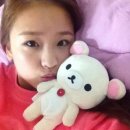 인형과 함께 이미지