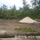 금능초등학교 이미지