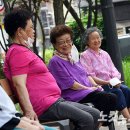 남부법마을 경로당 노컷뉴스