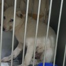 블루동물종합병원 이미지