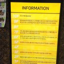 하얀그림책미술교습소