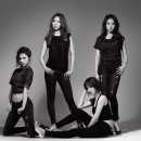 스텔라 이미지