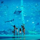 더하이난 이미지