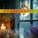별 뜻 있겠습니까 - 원태연 (낭송 - 블루요정) 이미지