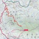 유격장 지나 이미지