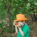 동양유치원 이미지