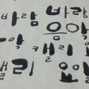 꽃영남캘리그라피