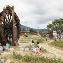 탐진강변 일원 이미지