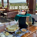 프라하 가볼 만한 곳, 와인바 포도밭 전망대 : 예약 방법 및 다녀온 후기