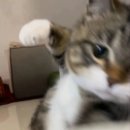 붕스 | 붕스 3.7 후기