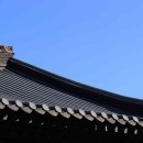 여주-0904 이미지