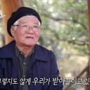 새빨간거짓말 Daum카페