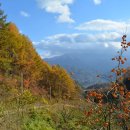 동강리 마을회관 이미지