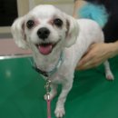 효창공원후문 이미지