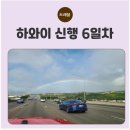 신행농장 이미지