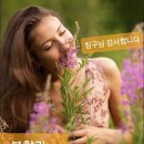 꽃피는하루 이미지